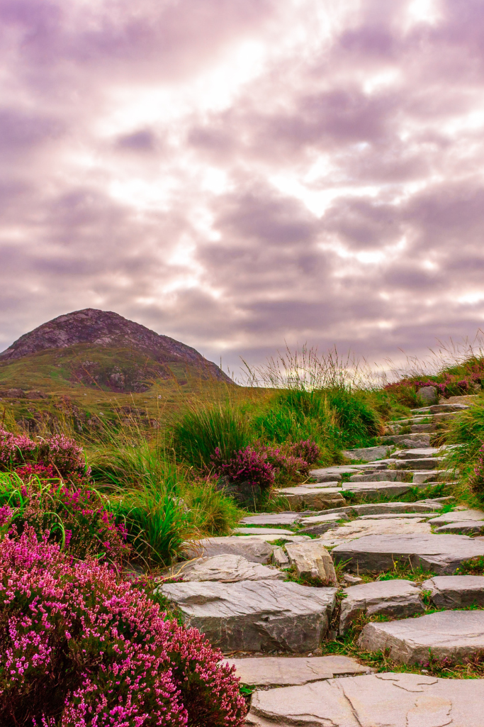 Berufliches Coaching Foto-gefuehl.at-silvia kaiser