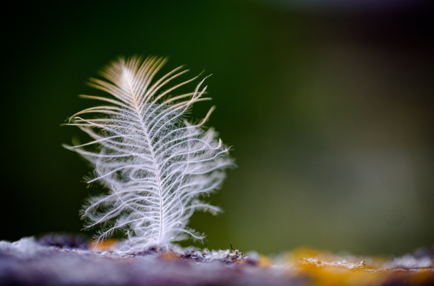 Hypnose gefuehl.at-Silvia Kaiser